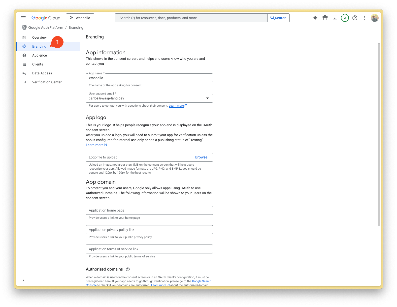 Google Console Screenshot 15
